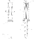 A 4.0 mm & B 7.5 mm and bottom tube 10 mm.webp