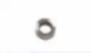 0015-2.webp